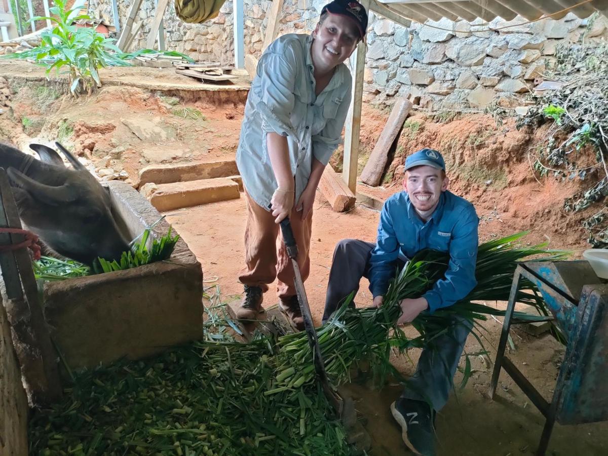 Indigenous Homestay- Trek- Food- Bus Mu Cang Chai Exterior photo
