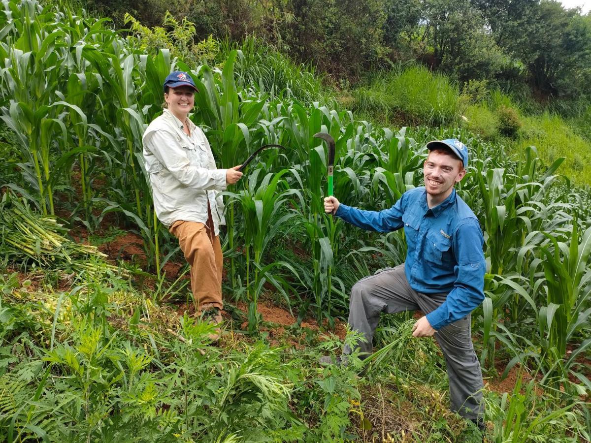 Indigenous Homestay- Trek- Food- Bus Mu Cang Chai Exterior photo