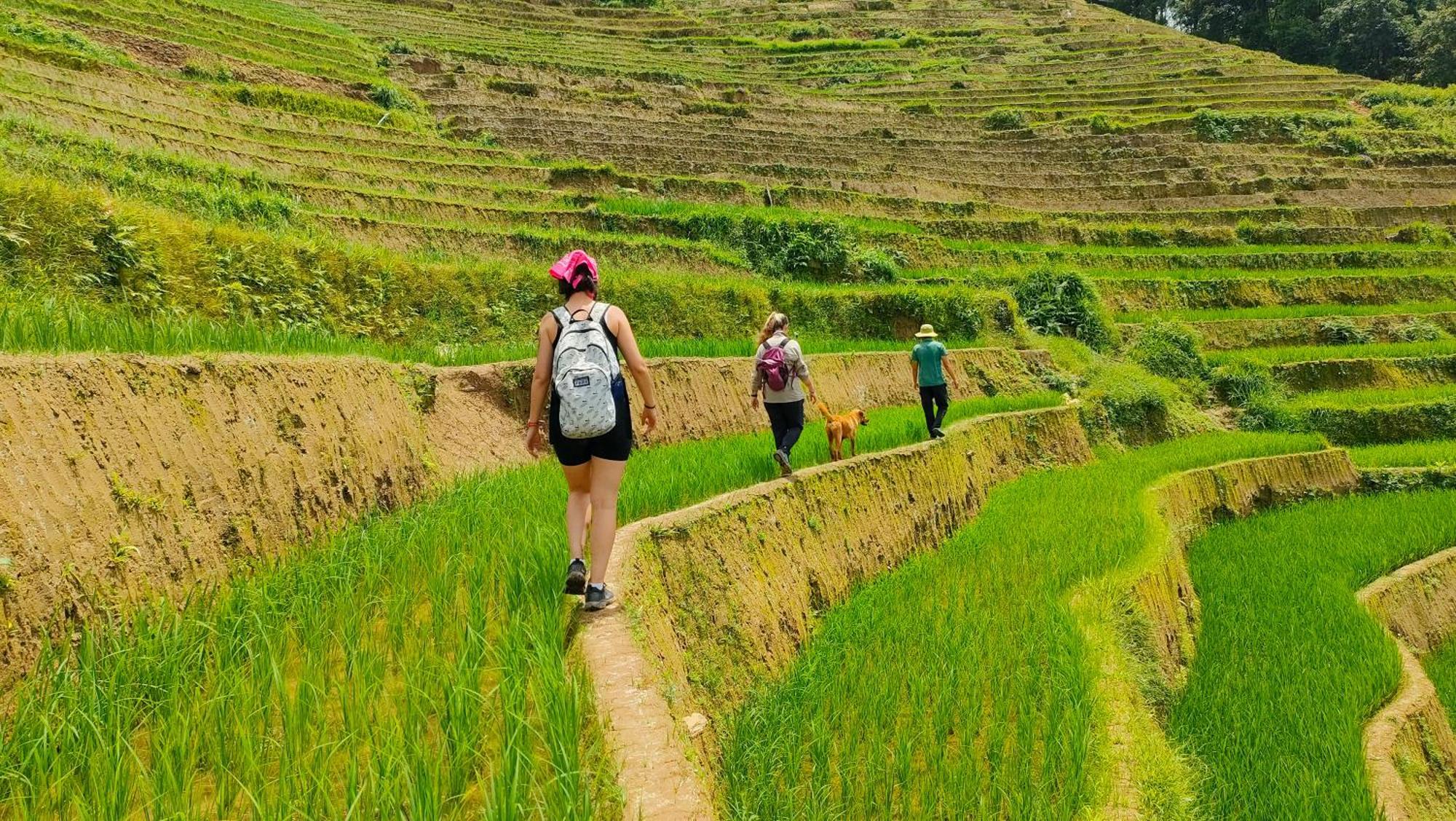 Indigenous Homestay- Trek- Food- Bus Mu Cang Chai Exterior photo